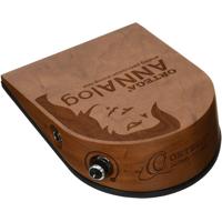 Ortega Guitars ANNAlog Percuss Picture