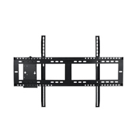 Optoma OWMFP01 Wall Mount for  Picture
