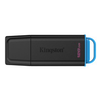 Kingston Technology DataTravel Picture