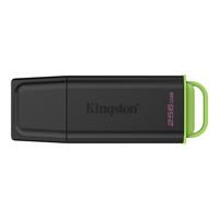 Kingston Technology DataTravel Picture