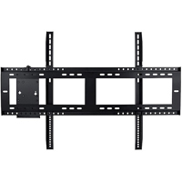 Optoma OWMFP05 Landscape Wall  Picture
