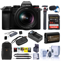 Panasonic LUMIX DC-S5 Mirrorle Picture