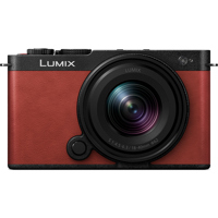 Panasonic LUMIX S9 Mirrorless  Picture