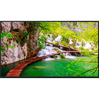Panasonic TH-43CQE2U 43" 16:9  Picture