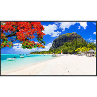 Panasonic TH-65SQ2HW 65" 16:9  Picture