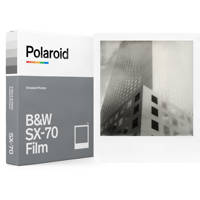 Polaroid Black & White SX-70 I Picture