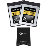 Prograde Digital Gold Series 1 Picture
