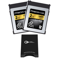 Prograde Digital Gold Series 2 Picture