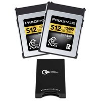 Prograde Digital Gold Series 5 Picture