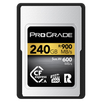Prograde Digital Gold Series C Picture