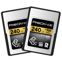Prograde Digital Gold Series C Picture