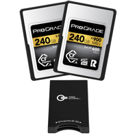 Prograde Digital Gold Series 2 Picture