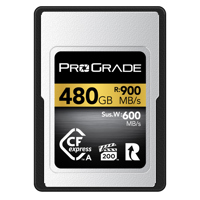 Prograde Digital Gold Series C Picture