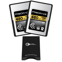 Prograde Digital Gold Series 4 Picture