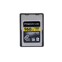Prograde Digital Gold Series C Picture