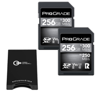 Prograde Digital 256GB SDXC UH Picture