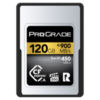 Prograde Digital Gold Series C Picture