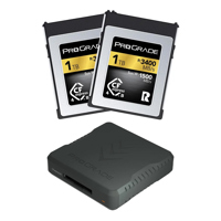 Prograde Digital Gold Series 1 Picture