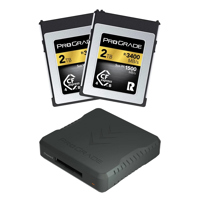 Prograde Digital Gold Series 2 Picture
