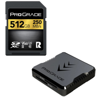 Prograde Digital Dual-Slot UHS Picture