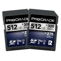 Prograde Digital Iridium UHS-I Picture