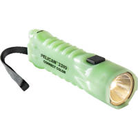 Pelican 3310CC Correct Color L Picture