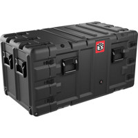Pelican BlackBox30 Rackmount H Picture