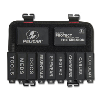 Pelican VPIDP3 ModPak Patch I. Picture