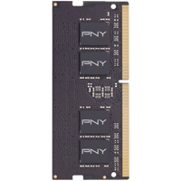 PNY Technologies Performance S Picture