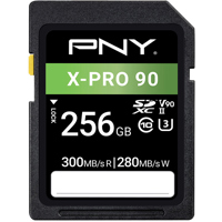 PNY Technologies X-PRO 90 256G Picture