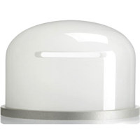 Profoto Frosted Glass Dome for Picture