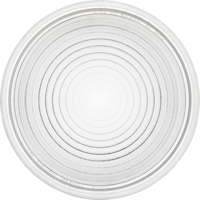 Profoto Replacement Lens for F Picture