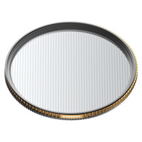 Polar Pro 95mm QuartzLine FX BlueMorphic Streak Filter