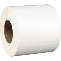 Primera Technology 6x4" Premiu Picture