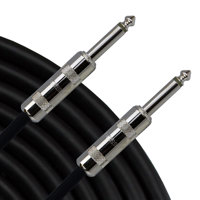 Pro Co Sound G4-10 10' Concert Picture