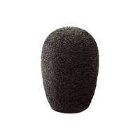 Point Source Audio CM-WSN-5 Wi Picture
