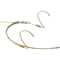 Point Source Audio CONFIDENCE  Picture