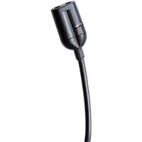 Point Source Audio CONFIDENCE  Picture
