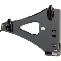 Bodelin Technologies ProScope  Picture