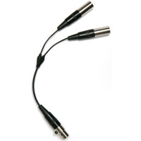Point Source Audio 2-Microphon Picture
