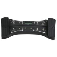Peavey Sanpera II Foot Pedal C Picture