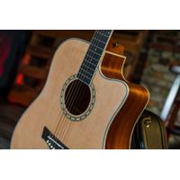 Peavey DW-2 CE Solid Top Cutaway Acoustic Electric Guitar