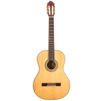 Peavey Delta Woods CNS-2 Class Picture