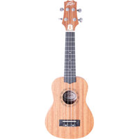 Peavey Delta Woods Student Uku Picture