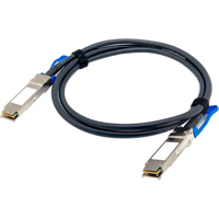 QNAP 4.9' QSFP28 100GbE Twinax Picture