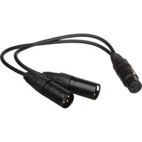 Remote Audio 8" Balanced Split Picture