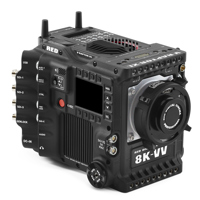 RED Digital Cinema V-RAPTOR XL Picture