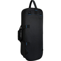 Reunion Blues RBX Trumpet Case Picture