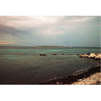 Revolog Streak 35mm ISO 200 Co Picture