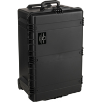 Jason Cases Wheeled Hard Case  Picture